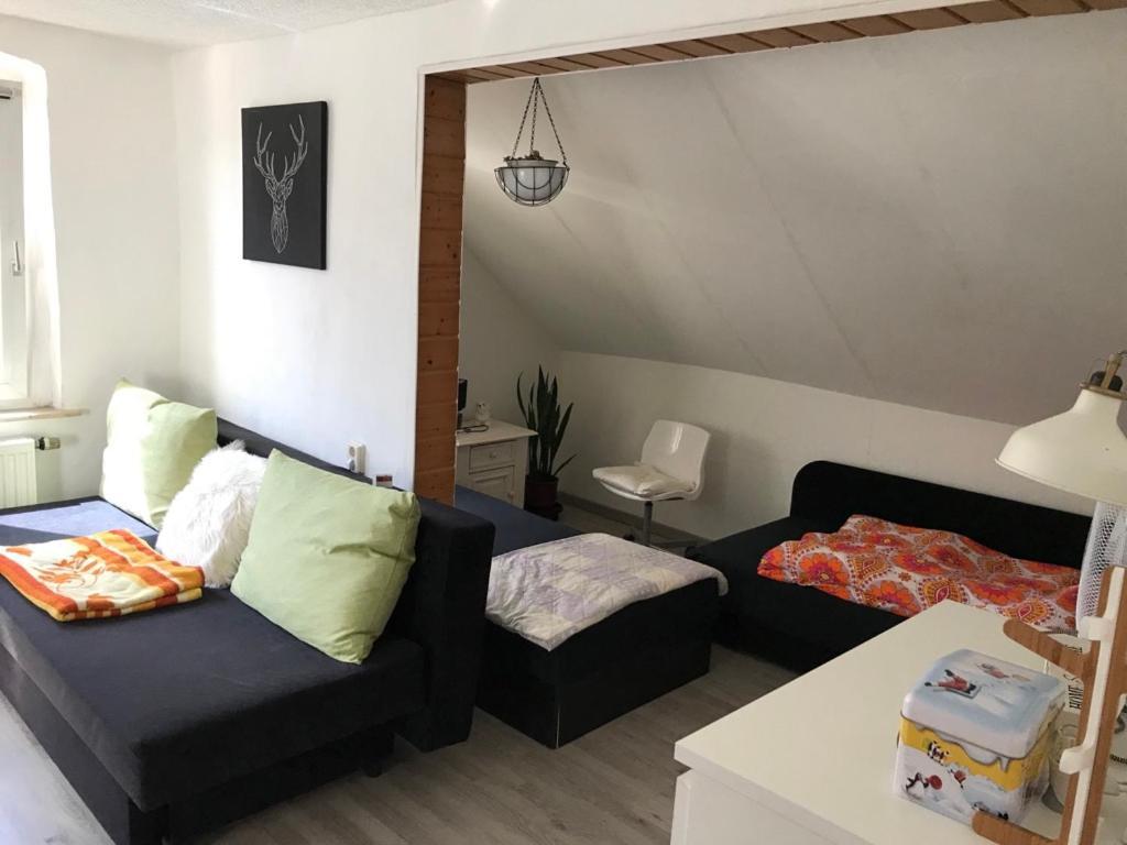 Ferienwohnung Im Einfamilienhaus, Automobil Und Robert Schumann Stadt Zwickau Luaran gambar